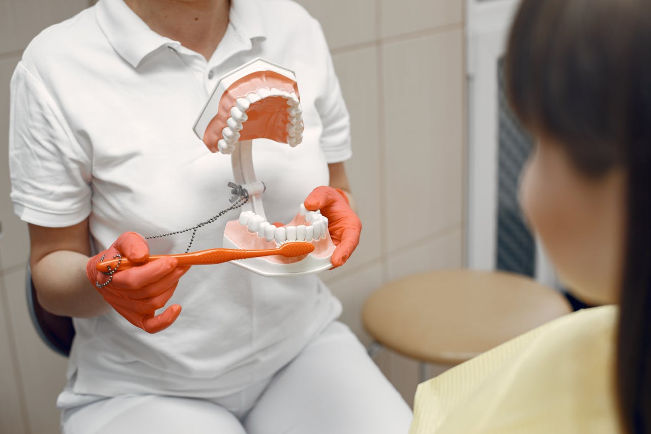 A dentist shows proper brushing technique using a dental model to a patient in a clinic.